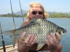 Java Barb