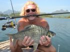 Java Barb