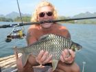 Java Barb