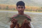 Java Barb