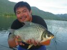 Java Barb