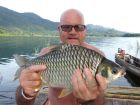 Java Barb