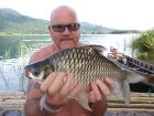 Java Barb