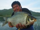 Java Barb