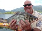 Java Barb