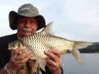 Java Barb