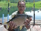 Java Barb