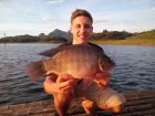 Tilapia