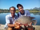 Tilapia