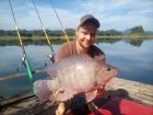 Tilapia