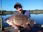 Tilapia