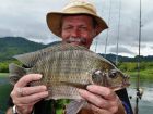 Tilapia