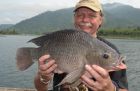 Tilapia