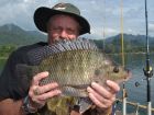 Tilapia