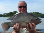 Tilapia