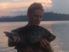 Tilapia