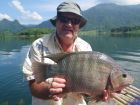 Tilapia