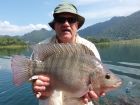 Tilapia