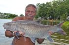 Thai Mahseer