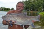 Thai Mahseer