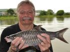 Thai Mahseer