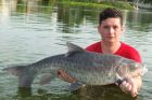 Thai Mahseer
