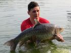 Thai Mahseer