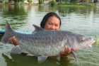 Thai Mahseer