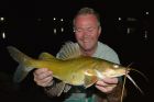 Yellow Catfish