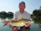 Yellow Catfish