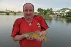 Yellow Catfish