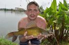 Yellow Catfish