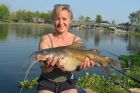 Yellow Catfish