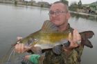 Yellow Catfish