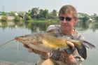 Yellow Catfish