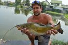 Yellow Catfish