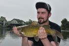 Yellow Catfish