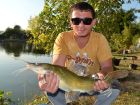 Yellow Catfish