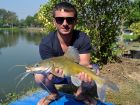 Yellow Catfish