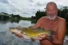 Yellow Catfish