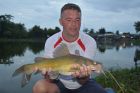 Yellow Catfish