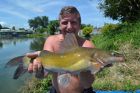 Yellow Catfish