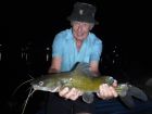 Yellow Catfish