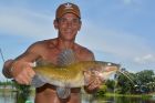 Yellow Catfish