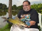 Yellow Catfish