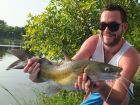 Yellow Catfish