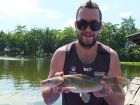 Yellow Catfish