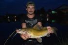 Yellow Catfish