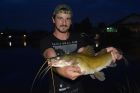 Yellow Catfish