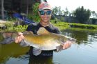 Yellow Catfish